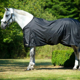 Couverture Back On Track