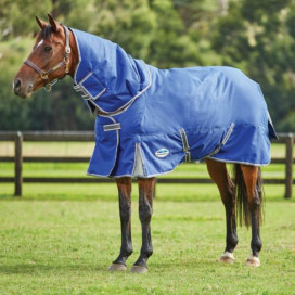 Couverture cheval 100g