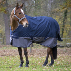 Couverture cheval de trait