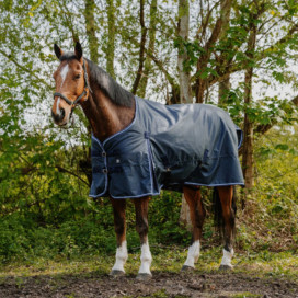 Couverture Riding World