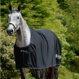 Couverture séchante cheval