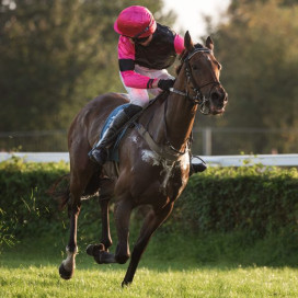 Course galop