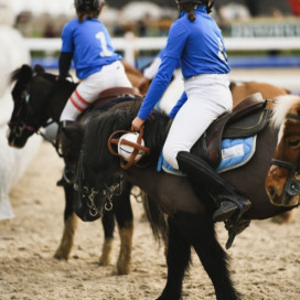Horse-ball