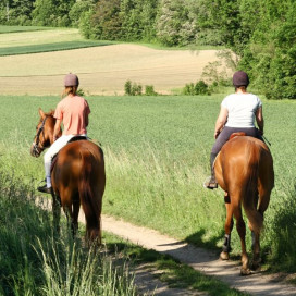 Promenade et randonnée