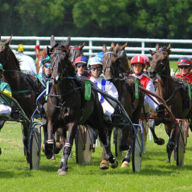 Trot attelé