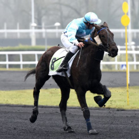 Trot monté