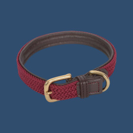 Collier chien tressé