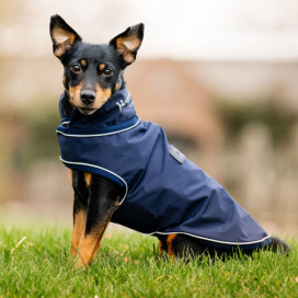 Imperméable pour chien