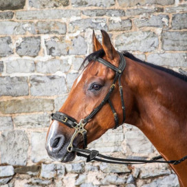 Bridon Hackamore