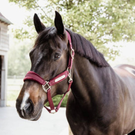 Licol bordeaux