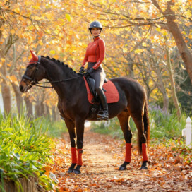 Tapis LeMieux dressage