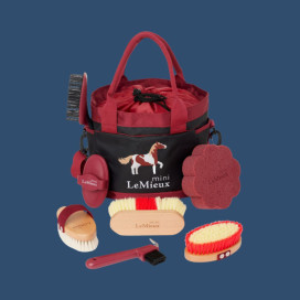 Kits de pansage
