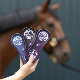 Brosse magique cheval