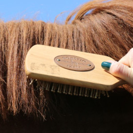 Brosse cheval