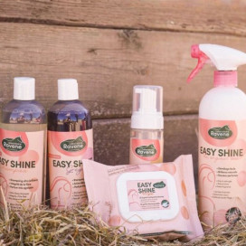 Easy Shine