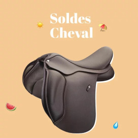 Soldes : cheval