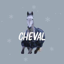 Soldes : cheval