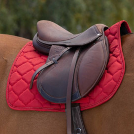 Tapis rouge cheval
