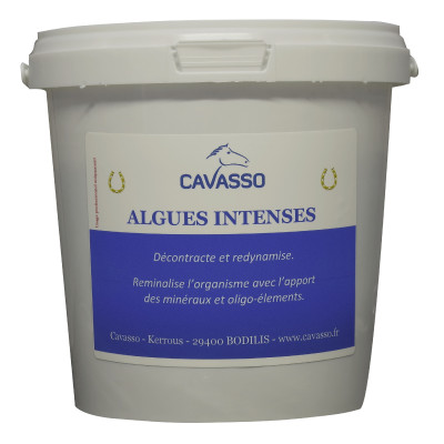 Algues Premium Intense Cavasso 1 kg