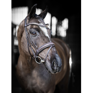 Bridon de dressage LeMieux Arika Bridon de dressage LeMieux Arika