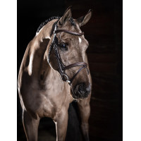 Bridon LeMieux Arika muserolle combinée Marron / argent