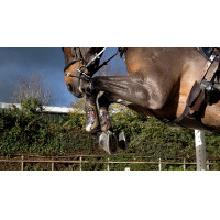 Guêtres Exo-Flex® LeMieux Marron