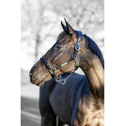 Licol LeMieux Rope Control Noir