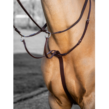 Martingale à anneaux LeMieux Arika Martingale à anneaux LeMieux Arika