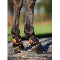 Protège-paturon Magno LeMieux Noir Protège-paturon Magno LeMieux Noir