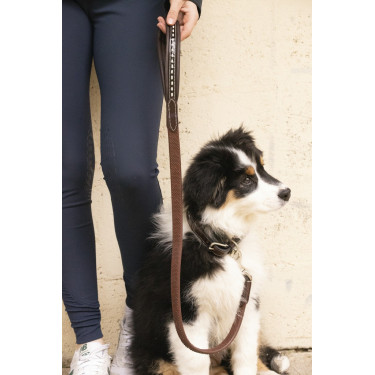 Laisse chien Pénélope Rubber Laisse chien Pénélope Rubber