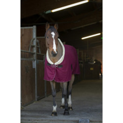 Chemise séchante Equithème Teddy Bordeaux / ecru