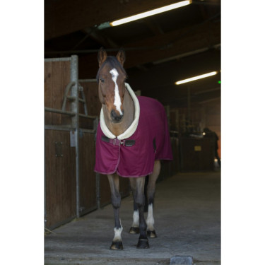 Chemise séchante Equithème Teddy Chemise séchante Equithème Teddy