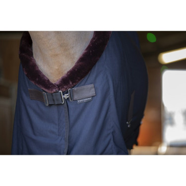 Chemise séchante Equithème Teddy Noir / marron