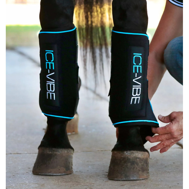 Guêtres massantes Horseware Ice-Vibe