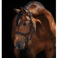 Licol Rambo Micklem Horseware Marron Licol Rambo Micklem Horseware Marron