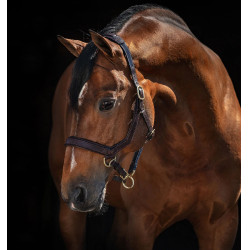Licol Rambo Micklem Horseware