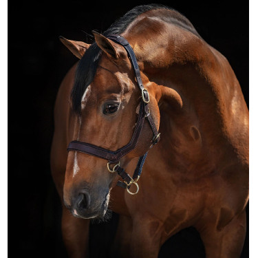 Licol Rambo Micklem Horseware