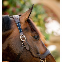 Licol Rambo Micklem Horseware Marron