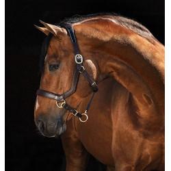 Licol Rambo Micklem Horseware Marron