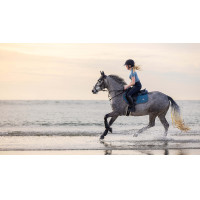 Tapis de selle LeMieux Earth Close Contact Ocean Tapis de selle LeMieux Earth Close Contact Ocean