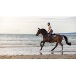 Tapis de selle LeMieux Earth Close Contact Moss Marron