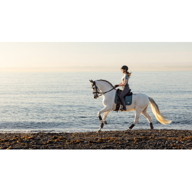 Tapis de selle LeMieux Earth Dressage Square Tapis de selle LeMieux Earth Dressage Square