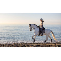 Tapis de selle LeMieux Earth Dressage Square Moss Marron