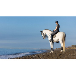 Tapis de selle LeMieux Earth Dressage Square Moss Marron