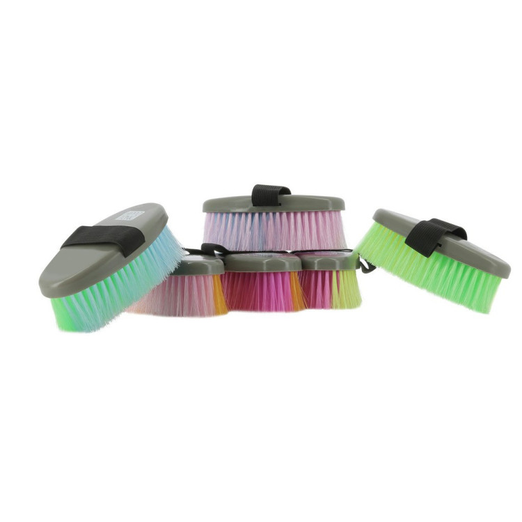 Brosse Hippotonic multicolor