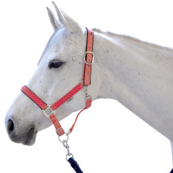 Set licol et longe Varna Flags & Cup Taupe Set licol et longe Varna Flags & Cup Taupe