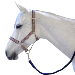 Set licol et longe Varna Flags & Cup Taupe Set licol et longe Varna Flags & Cup Taupe