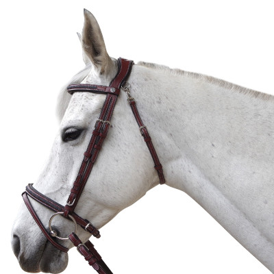 Bridon Flags & Cup Aachen Marron