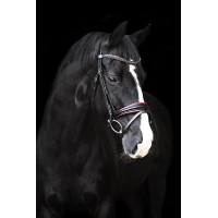 Bridon Impérial Riding Fria Bourgogne Bordeaux Bridon Impérial Riding Fria Bourgogne Bordeaux