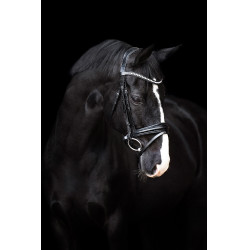 Bridon Imperial Riding Fria Noir